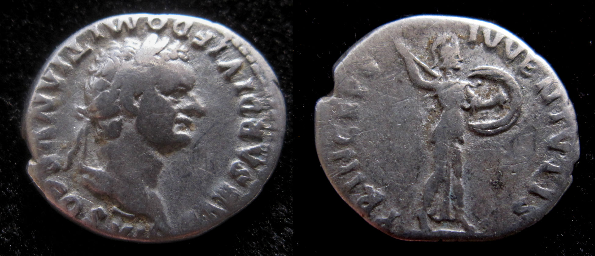 Domitian Denarius | Antiquarius